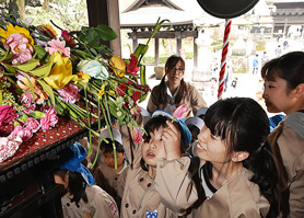 花祭り